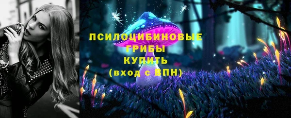 прущая мука Богородицк