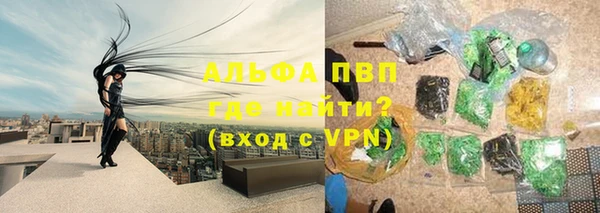 СК Богородск
