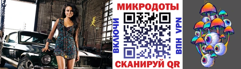 Псилоцибиновые грибы Psilocybe  Мончегорск 